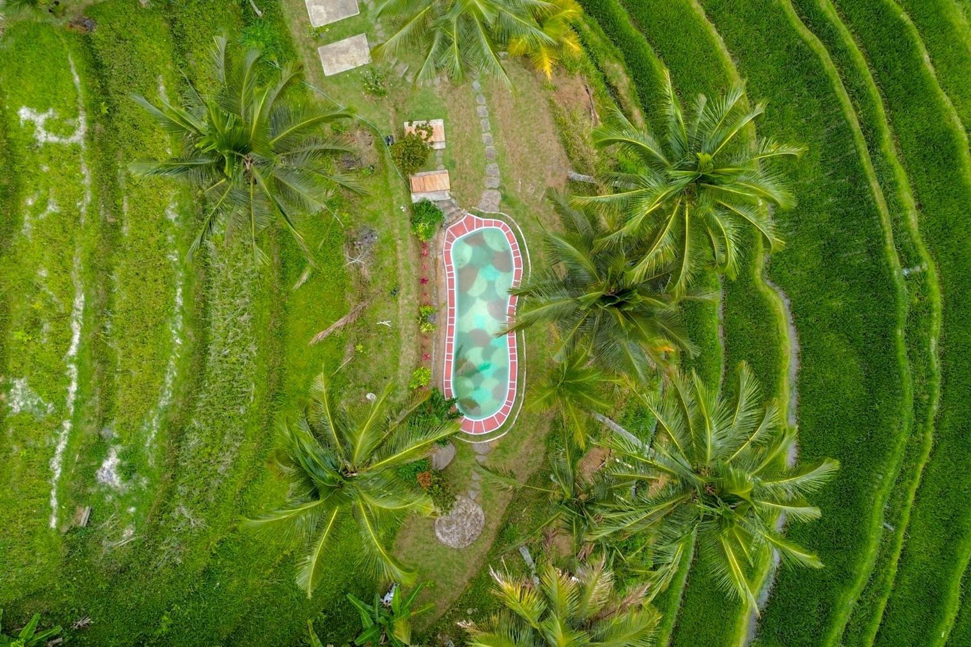 Pesona Bali Ecolodge By Agata Jatiluwih Exterior foto